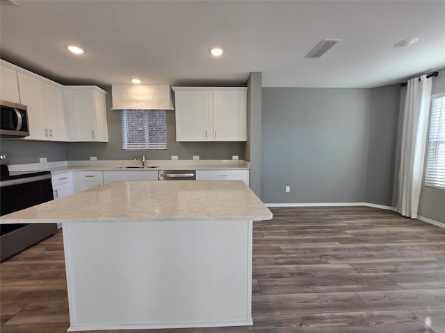 254 Lake Erie Dr, Princeton, TX 75407 - kitchen featuring appliances with stainless steel finishes, a sink, white cabinets, dark wood-style floors, and recessed lighting