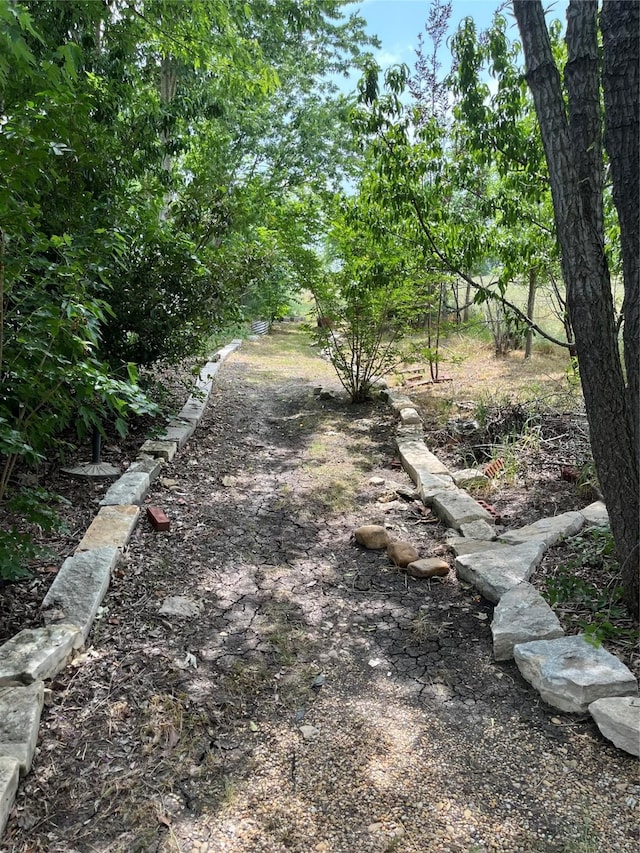 2410 Gail St, Royse City, TX 75189 - view of yard