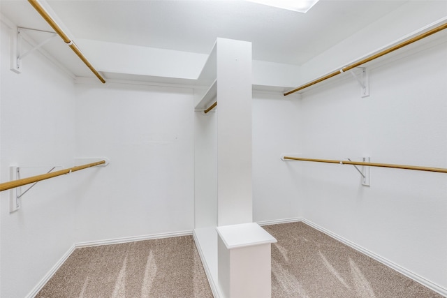 3209 S Bay Breeze Ln, Fort Worth, TX 76179 - spacious closet with carpet flooring