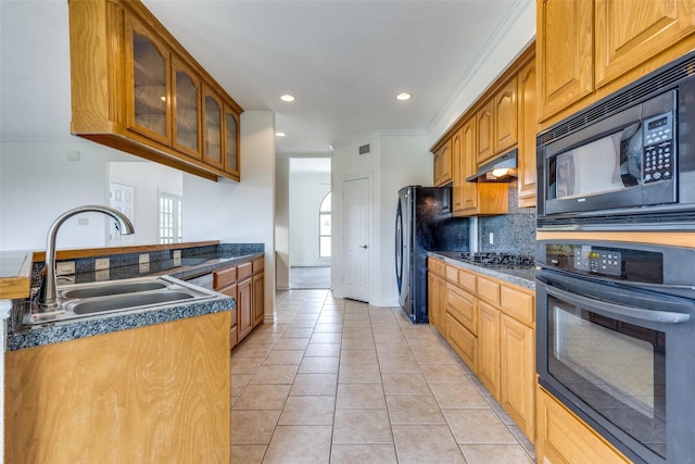 3209 S Bay Breeze Ln, Fort Worth, TX 76179 - kitchen with black appliances, a sink, glass insert cabinets, under cabinet range hood, and backsplash