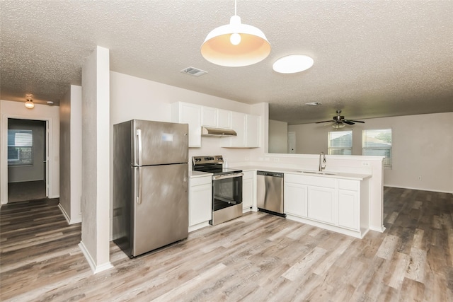 4913 Creek Ridge Trl, Fort Worth, TX 76179 - kitchen with stainless steel appliances, a sink, under cabinet range hood, a textured ceiling, and light wood-type flooring