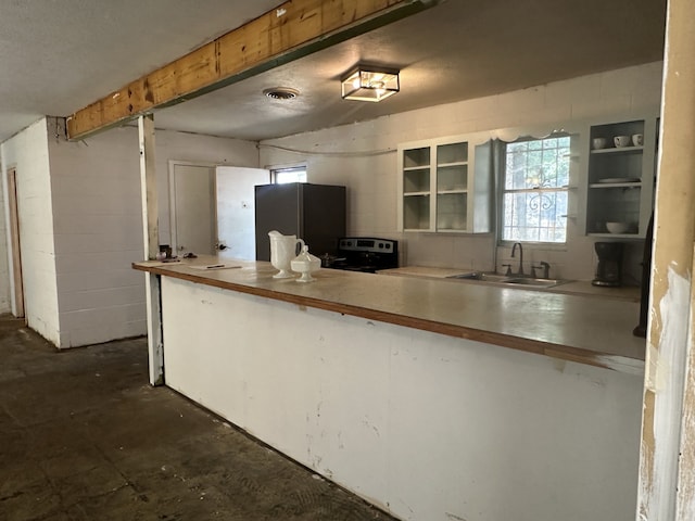 1505 Grove Dr, West Tawakoni, TX 75474 - kitchen with appliances with stainless steel finishes, a sink, a peninsula, glass insert cabinets, and unfinished concrete floors