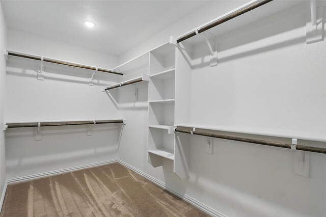 240 Springwood Ranch Loop, Springtown, TX 76082 - walk in closet featuring carpet flooring