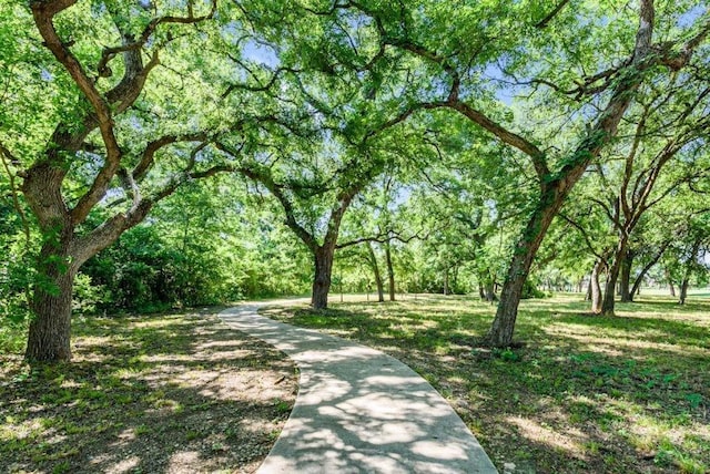 916 Timber Ridge Dr, Justin, TX 76247 - view of home's community