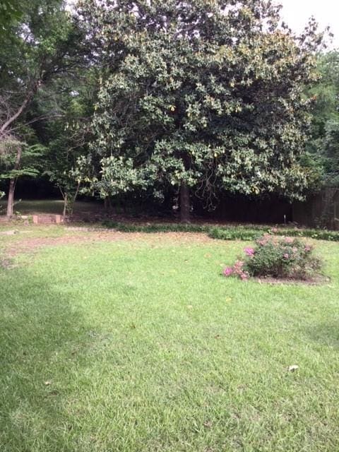 1014 N Sycamore St, Palestine, TX 75801 - view of green lawn