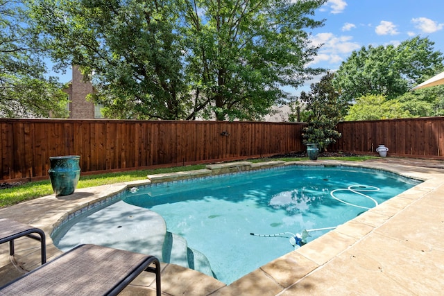 view of pool with a fenced backyard and a patio area