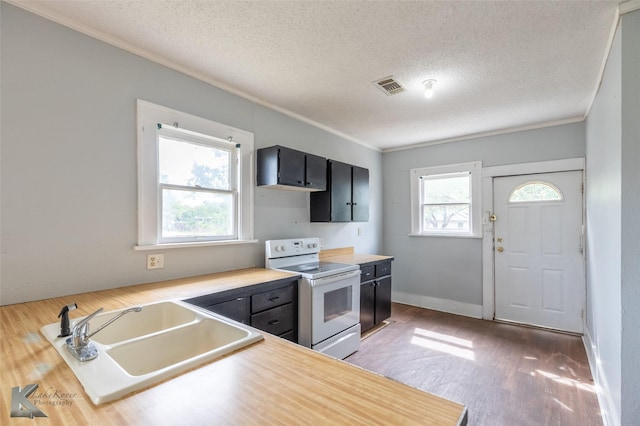 1810 Merchant St, Abilene, TX 79603 - kitchen featuring white range with electric stovetop, a sink, crown molding, light wood-type flooring, and dark cabinets