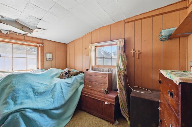 402 S Watson St, Alvarado, TX 76009 - misc room featuring vaulted ceiling, wood walls, and light carpet