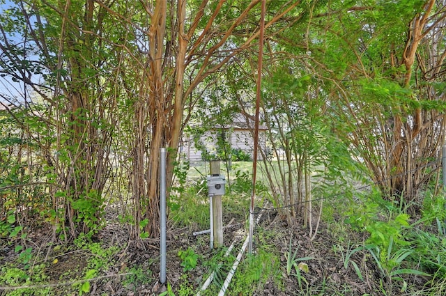 402 S Watson St, Alvarado, TX 76009 - view of local wilderness