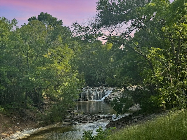 2638 Custer Pkwy Unit B, Richardson, TX 75080 - water view with a heavily wooded area