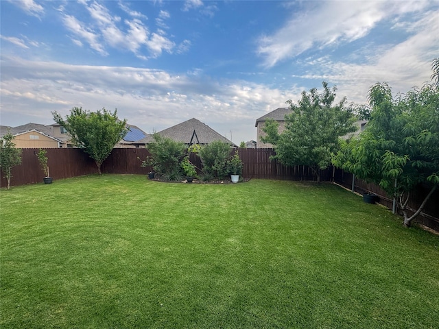 4237 Old Timber Ln, Fort Worth, TX 76036 - view of yard