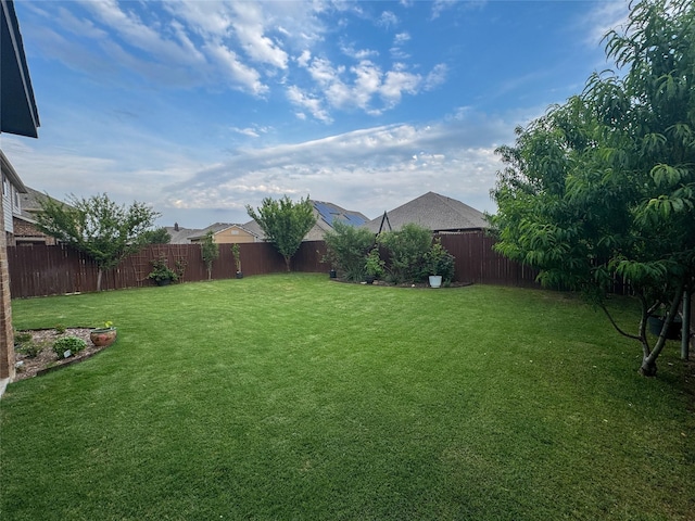 4237 Old Timber Ln, Fort Worth, TX 76036 - view of yard
