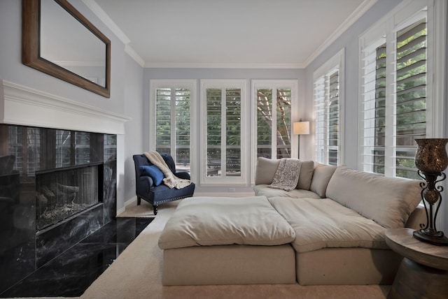 1123 Shadetree Ln, Allen, TX 75013 - living room with ornamental molding, a high end fireplace, and baseboards