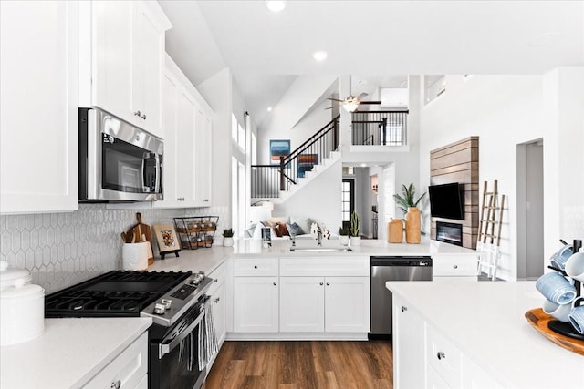 4342 Hudson St, Fate, TX 75087 - kitchen with appliances with stainless steel finishes, a ceiling fan, light countertops, and recessed lighting