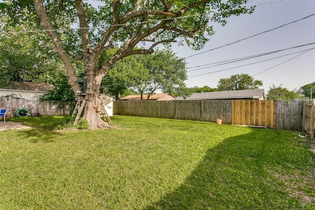 6900 Yorkston St, Watauga, TX 76148 - view of yard
