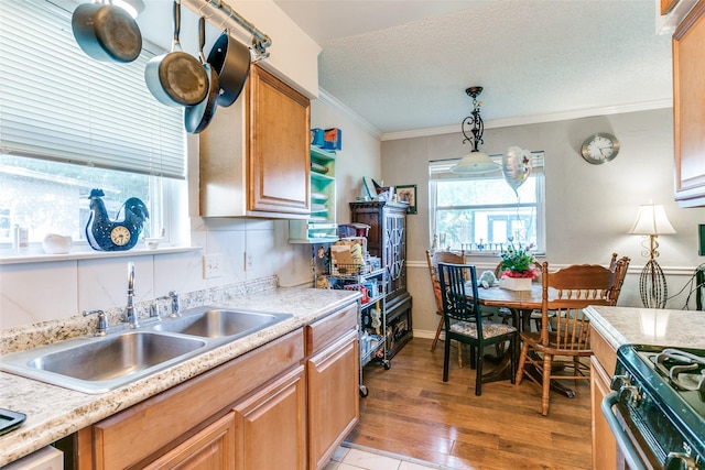 6900 Yorkston St, Watauga, TX 76148 - kitchen with a sink, light countertops, ornamental molding, decorative light fixtures, and gas range