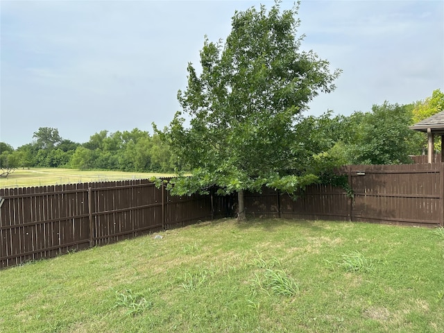 2408 Jill Creek Dr, Little Elm, TX 75068 - view of yard