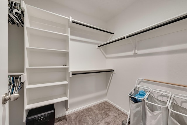 6128 Blacksmith Ave, Fort Worth, TX 76179 - spacious closet with carpet
