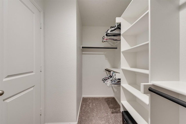 6128 Blacksmith Ave, Fort Worth, TX 76179 - walk in closet with carpet flooring