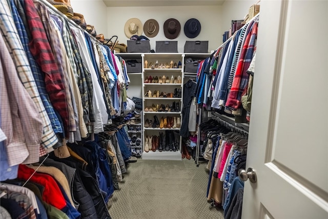 4207 Pearl Crescent Ln, Arlington, TX 76005 - walk in closet with carpet