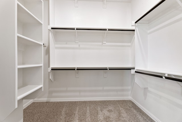 3510 Riley St, Fate, TX 75087 - spacious closet with carpet floors