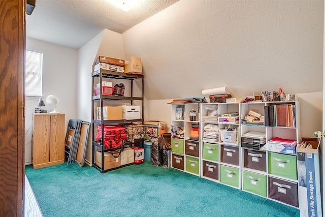 1409 Robyn Rd, Azle, TX 76020 - view of storage