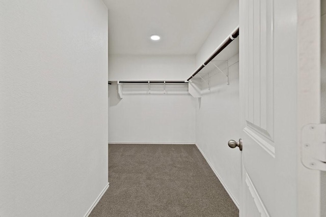 1302 Copper St, Princeton, TX 75407 - walk in closet featuring carpet floors