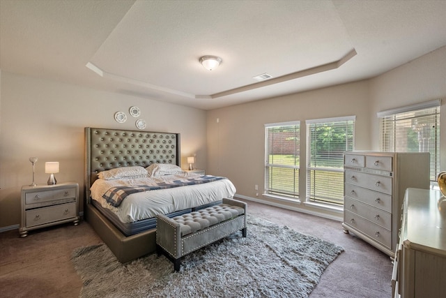 3449 Ava Dr, Midlothian, TX 76065 - bedroom with carpet flooring, a raised ceiling, and baseboards