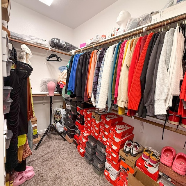 5202 Fallen Tree Dr, Temple, TX 76502 - walk in closet with carpet floors