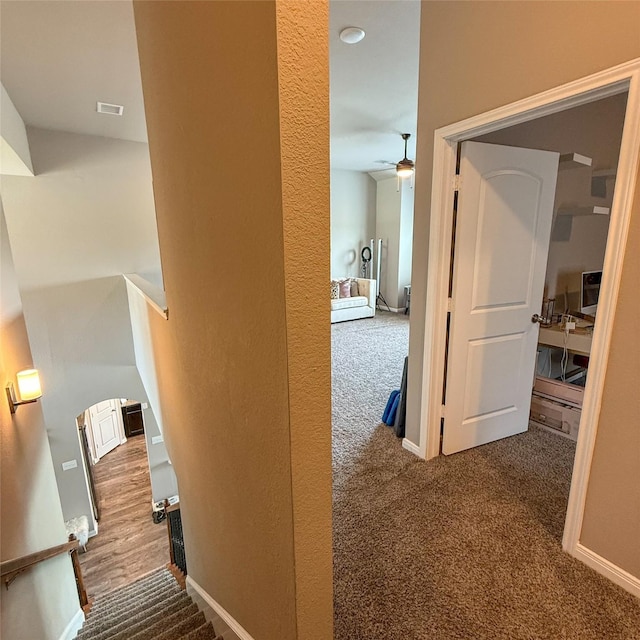 5202 Fallen Tree Dr, Temple, TX 76502 - hallway featuring carpet floors and baseboards