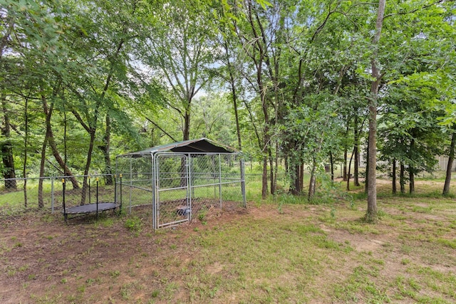 7909 W Fm 1753, Ravenna, TX 75476 - view of yard with an outdoor structure