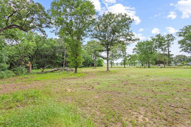 7909 W Fm 1753, Ravenna, TX 75476 - view of grassy yard
