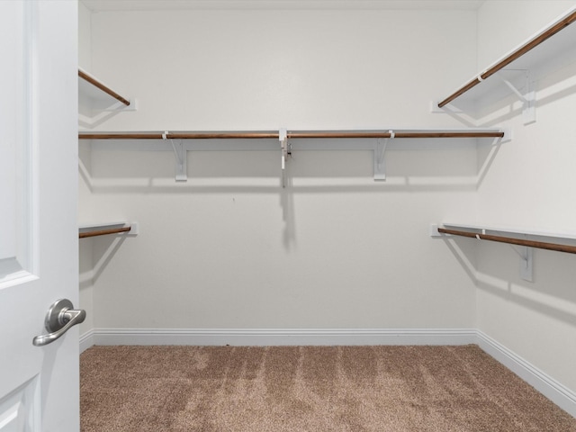 6020 Paddock Ln, Little Elm, TX 76227 - spacious closet featuring carpet