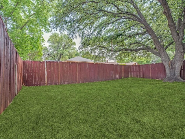 1804 Shreveport Trl, Plano, TX 75023 - view of yard
