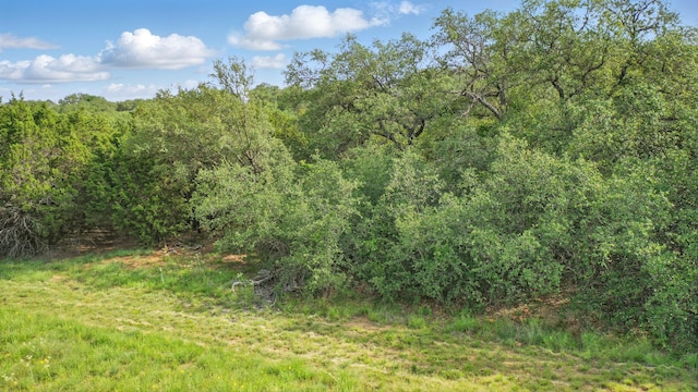 1417 Evening Primrose Dr, Graford, TX 76449