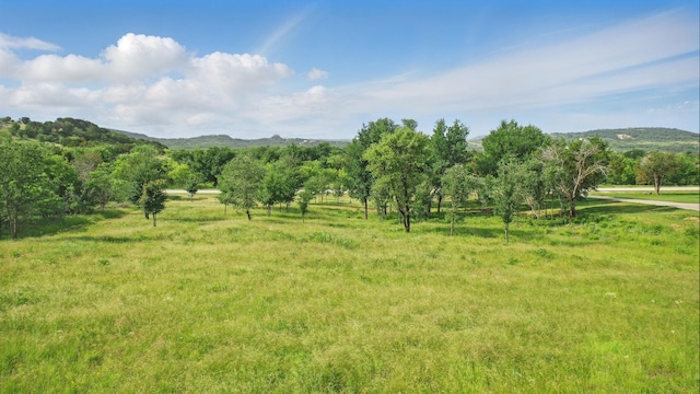 1417 Evening Primrose Dr, Graford, TX 76449