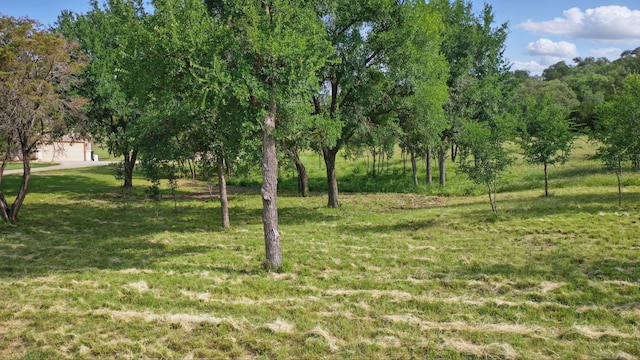 1417 Evening Primrose Dr, Graford, TX 76449