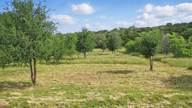 1417 Evening Primrose Dr, Graford, TX 76449