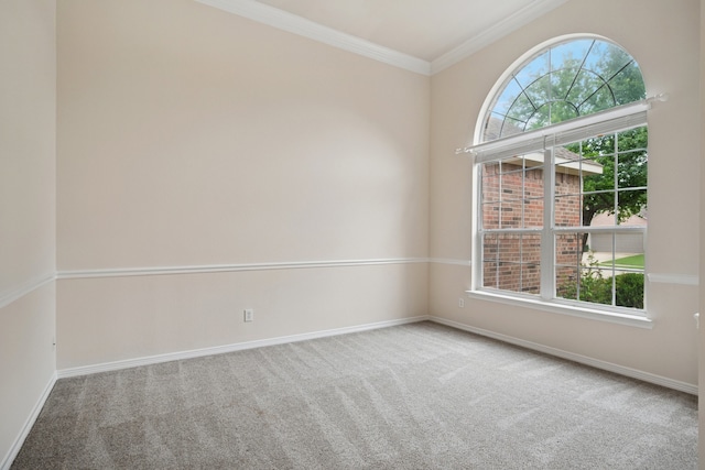1221 Old Oak Trl, Flower Mound, TX 75028 - carpeted spare room featuring healthy amount of natural light, baseboards, and ornamental molding