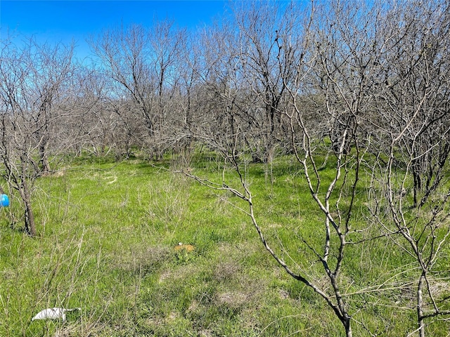 1700 Donlee Rd, Cleburne, TX 76058