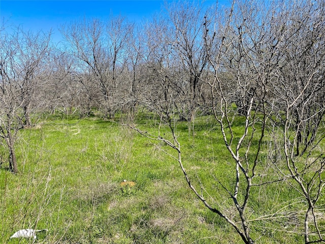 1700 Donlee Rd, Cleburne, TX 76058