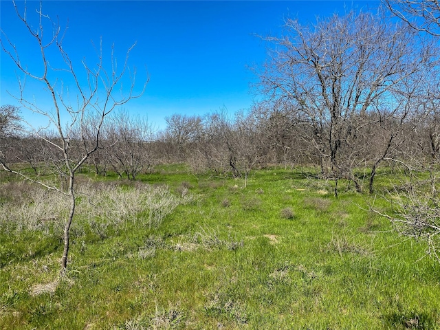 1700 Donlee Rd, Cleburne, TX 76058