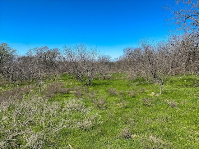 1700 Donlee Rd, Cleburne, TX 76058