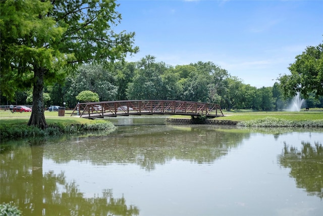 1100 Hyde Park Dr, Mckinney, TX 75069 - water view
