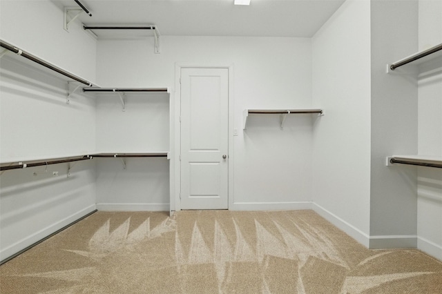 spacious closet with carpet floors