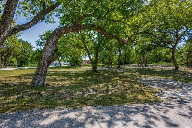 881 E Marshall St, Van Alstyne, TX 75495