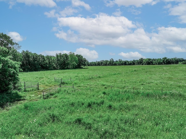 3266 Farm Rd Unit 1159, Clarksville, TX 75426 - view of local wilderness featuring rural landscape and agricultural land