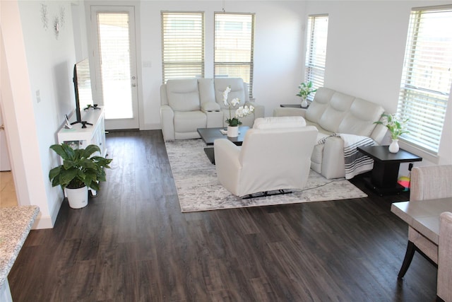 4804 Garner Dr, Carrollton, TX 75010 - living room with wood finished floors and healthy amount of natural light