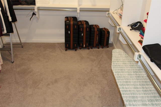 4804 Garner Dr, Carrollton, TX 75010 - walk in closet with carpet flooring