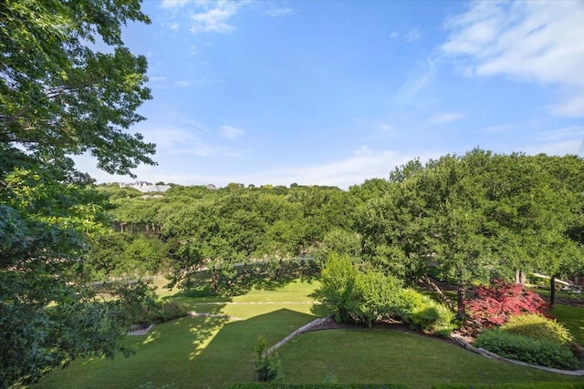 6908 Ridgewood Dr, Fort Worth, TX 76132 - view of grassy yard with a forest view